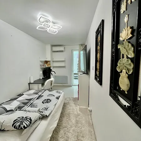 Jardin Sur La Pointe Croisette Luxe En Bord De * Cannes